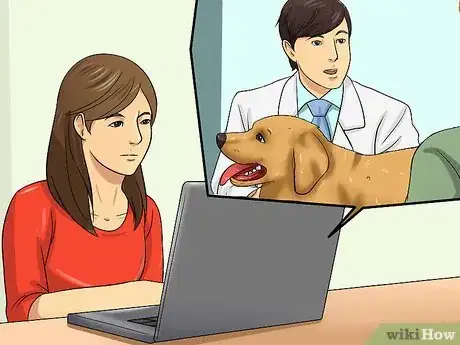 Image titled Remove a "Foxtail" from a Dog's Nose Step 9